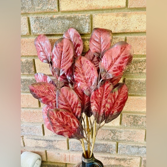 *Burgundy Rubber Plant Pick, 28” - Picture 8 of 10